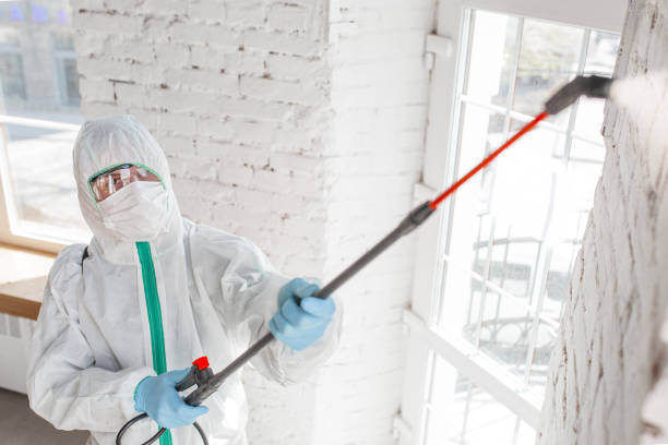 Best Forensic Mold Investigation  in Speer, NC