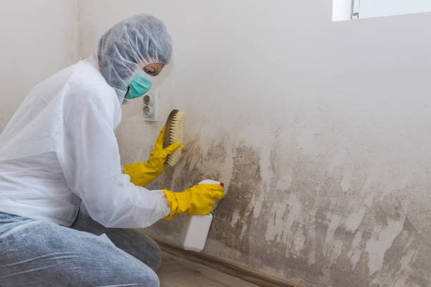 Best Crawl Space Mold Remediation  in Speer, NC