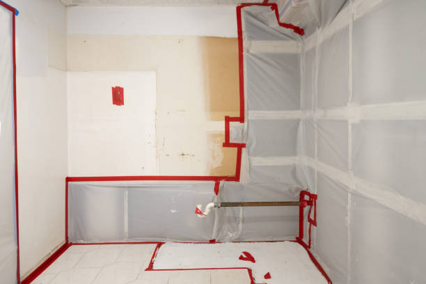 Best Mold Remediation for Healthcare Facilities  in Speer, NC