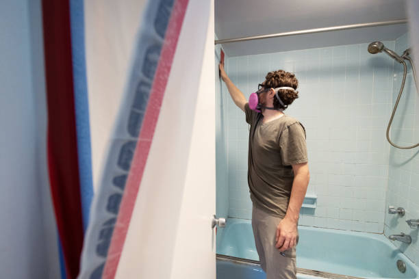 Best Comprehensive Air Testing for Mold Contaminants  in Speer, NC