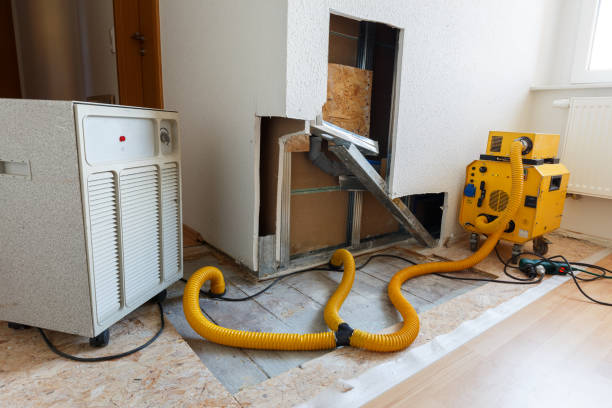  Speer, NC Mold Removal Pros