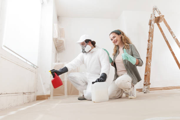 Best Basement Mold Removal  in Speer, NC