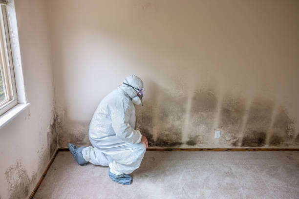 Best Crawl Space Mold Remediation  in Speer, NC