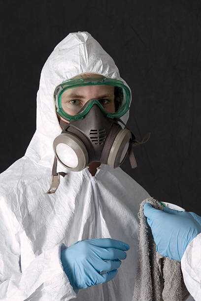 Best Mold Prevention Services  in Speer, NC